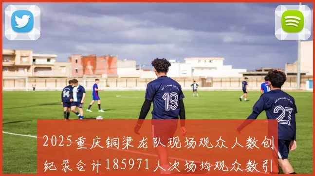 2025重庆铜梁龙队现场观众人数创纪录合计185971人次场均观众数引发热议