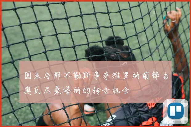 国米与那不勒斯争夺维罗纳前锋吉奥瓦尼桑塔纳的转会机会