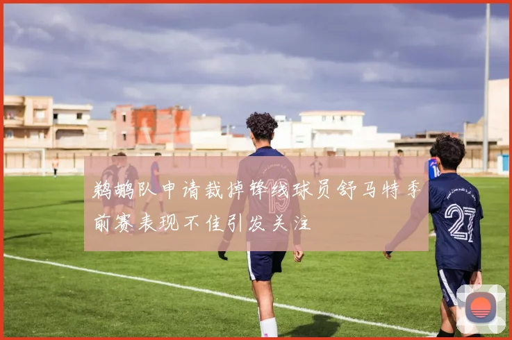 鹈鹕队申请裁掉锋线球员舒马特季前赛表现不佳引发关注